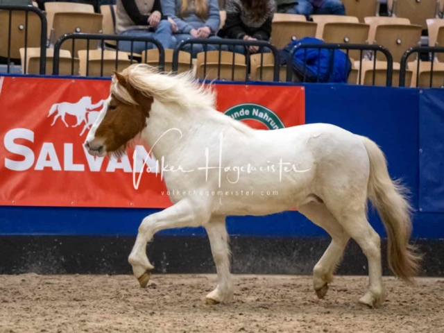 Impressionen PSB Samstag unsortiert 1