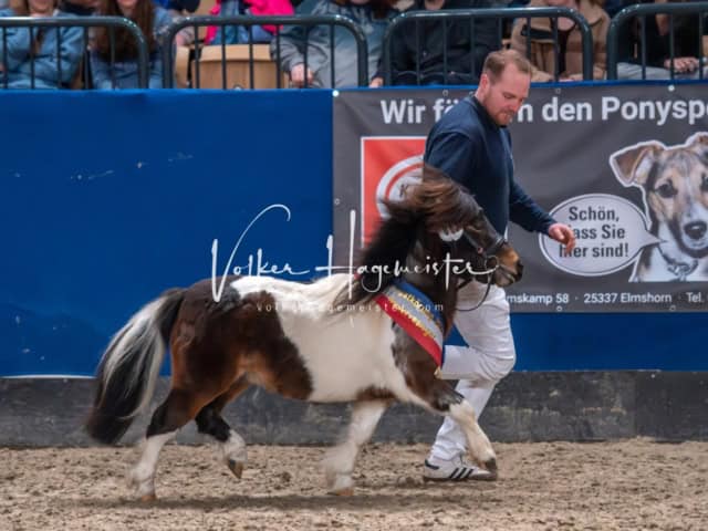 PSB Körung Schärpenträger 15