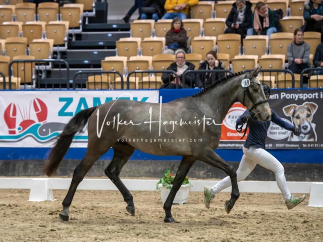 Impressionen PSB Samstag unsortiert 2