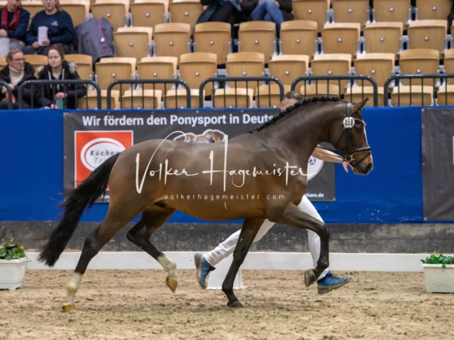 Impressionen PSB Samstag unsortiert 3