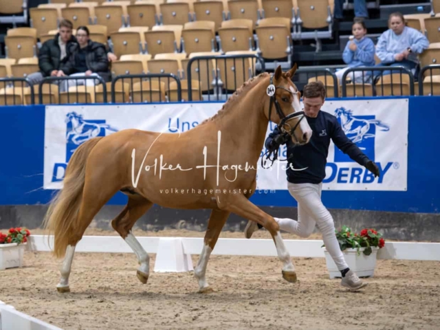 Impressionen PSB Samstag unsortiert 4