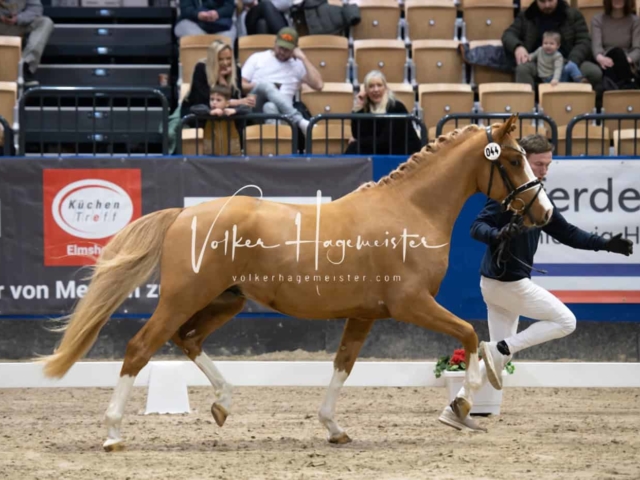 Impressionen PSB Samstag unsortiert 5