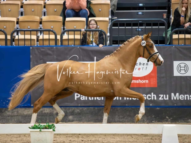 Impressionen PSB Samstag unsortiert 6