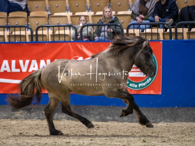 Impressionen PSB Samstag unsortiert 5