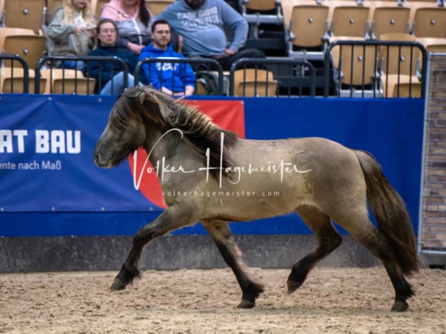 Impressionen PSB Samstag unsortiert 6