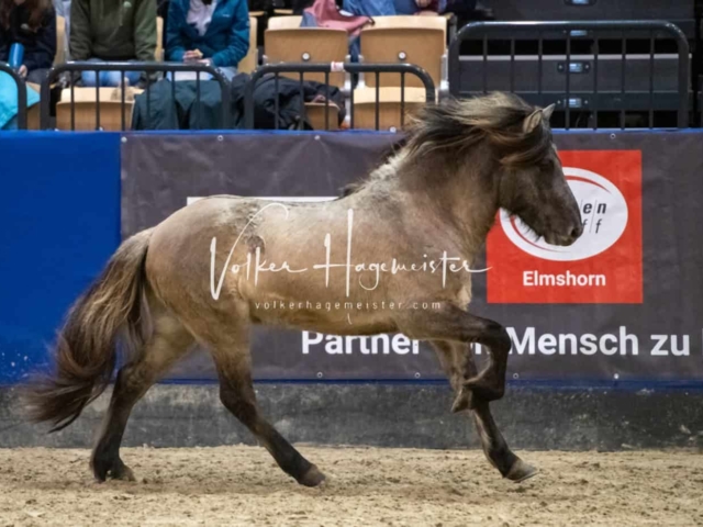 Impressionen PSB Samstag unsortiert 7