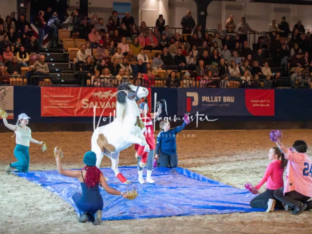 PSB Schaunachmittag 9