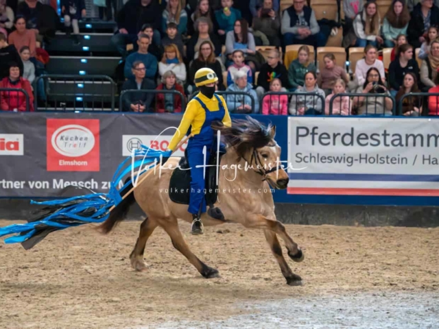 PSB Schaunachmittag 11