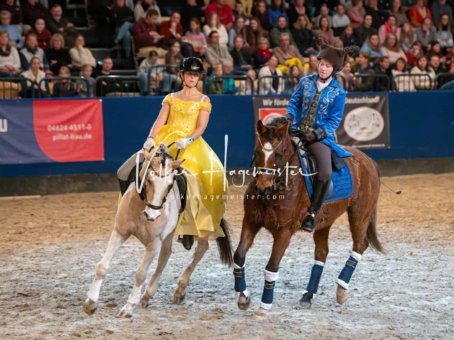 PSB Schaunachmittag 12