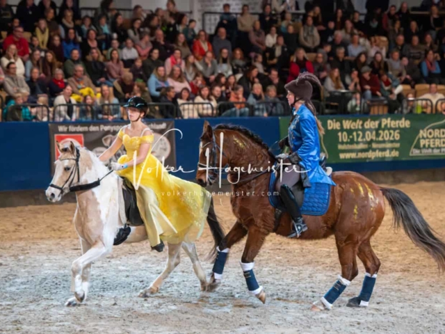 PSB Schaunachmittag 13