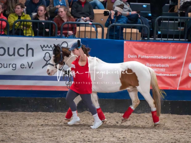 PSB Schaunachmittag 18