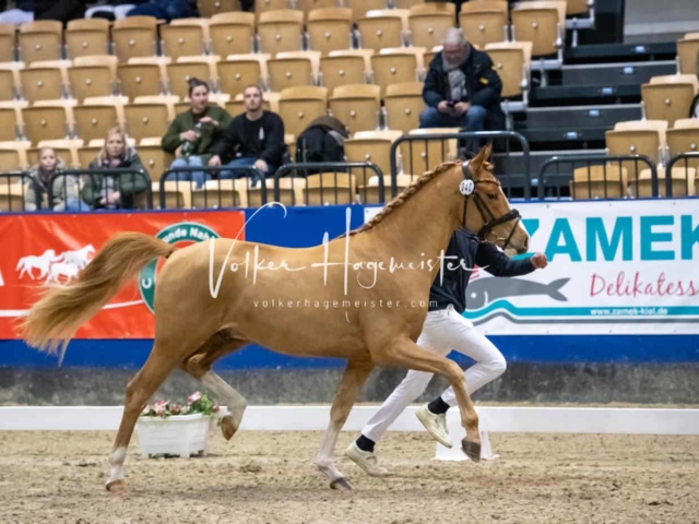 Impressionen PSB Samstag unsortiert 7