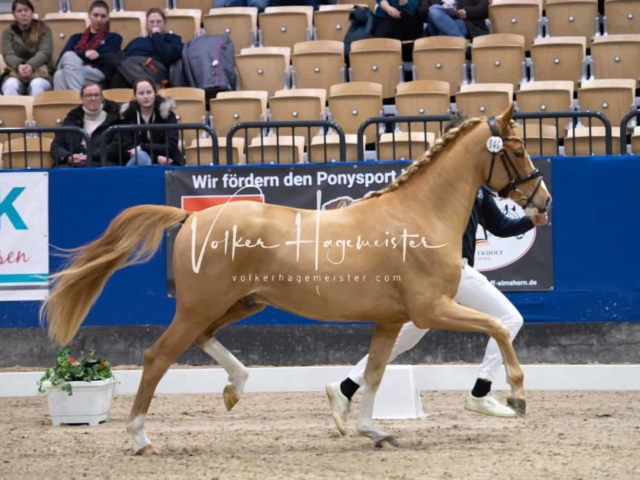 Impressionen PSB Samstag unsortiert 8