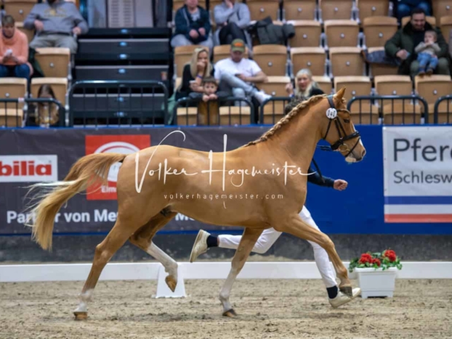 Impressionen PSB Samstag unsortiert 9