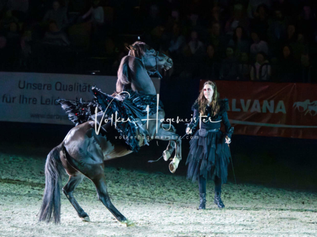 PSB Schaunachmittag 20