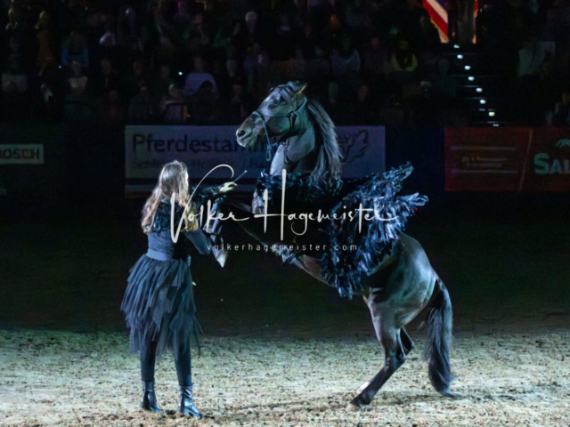 PSB Schaunachmittag 21