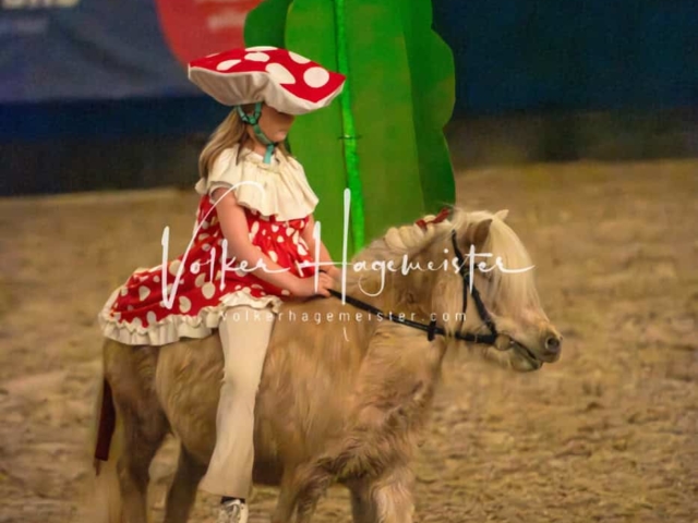 PSB Schaunachmittag 23