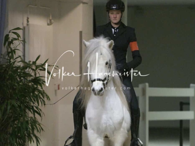 IPZV Samstag Prüfung 1 6