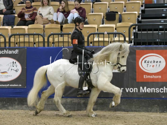 IPZV Samstag Prüfung 1 9
