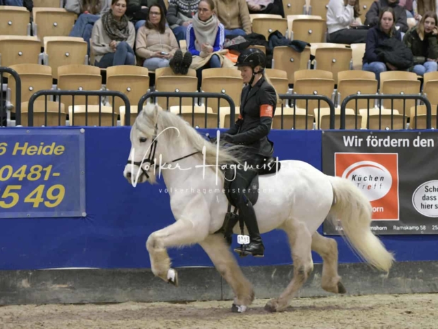 IPZV Samstag Prüfung 1 10