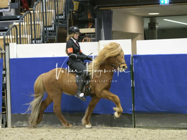 IPZV Samstag Prüfung 1 18