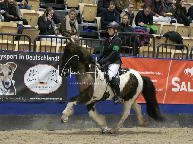 IPZV Samstag Prüfung 1 21