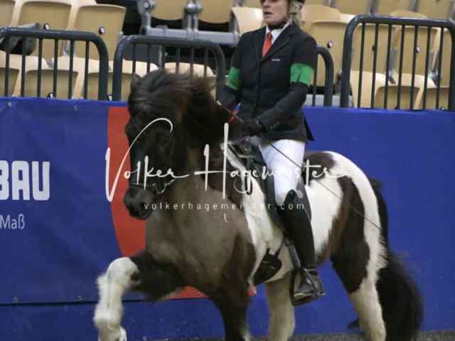 IPZV Samstag Prüfung 1 23