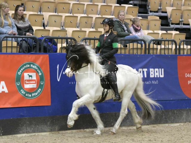 IPZV Samstag Prüfung 1 24
