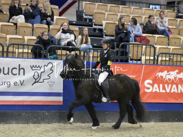 IPZV Samstag Prüfung 1 26