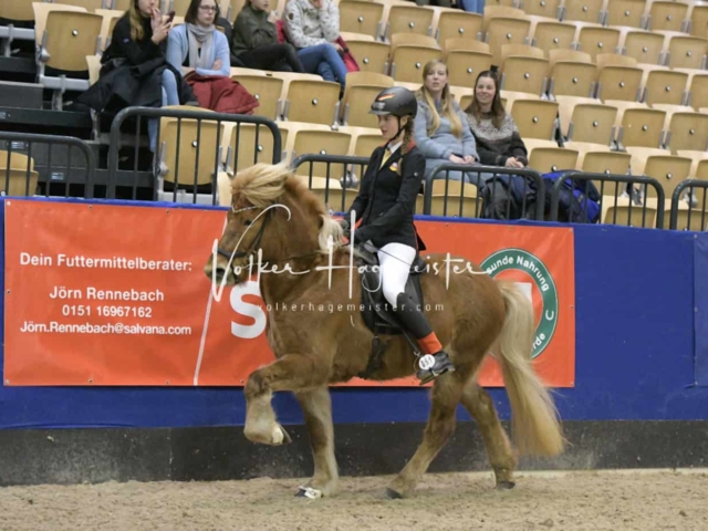 IPZV Samstag Prüfung 1 27