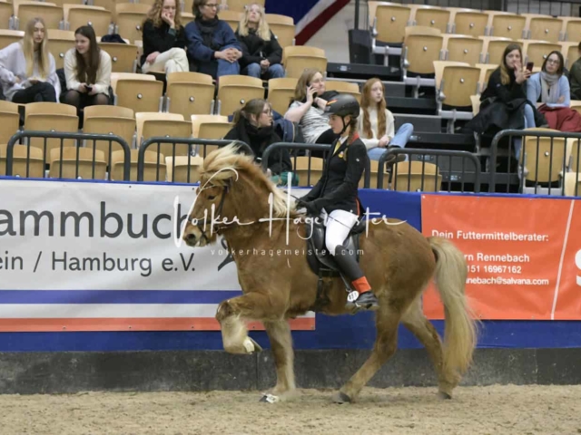 IPZV Samstag Prüfung 1 30