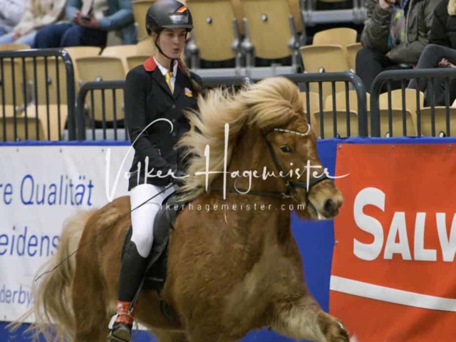 IPZV Samstag Prüfung 1 1