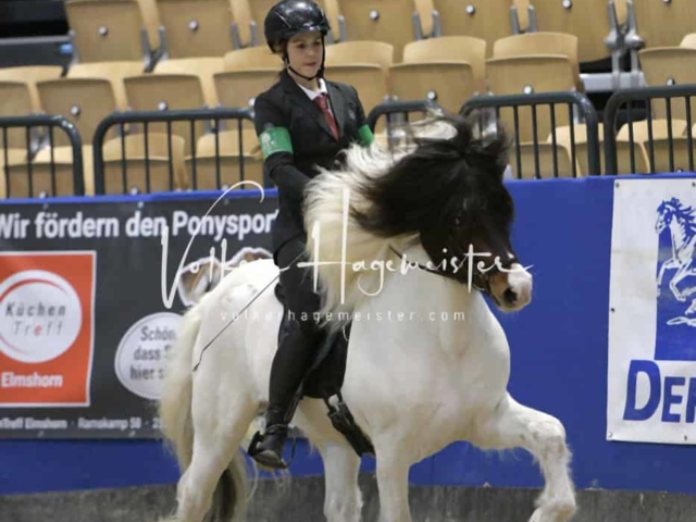 IPZV Samstag Prüfung 1 2