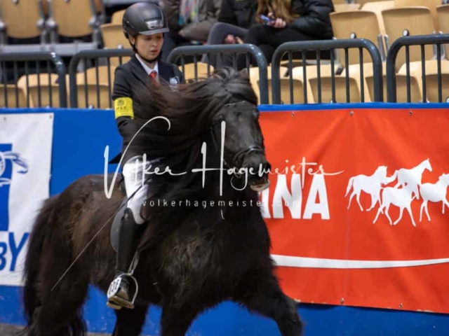 IPZV Samstag Prüfung 1 3