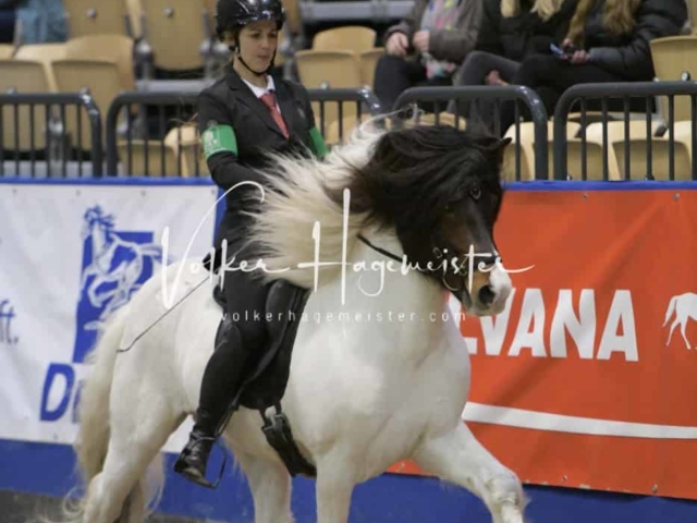 IPZV Samstag Prüfung 1 5