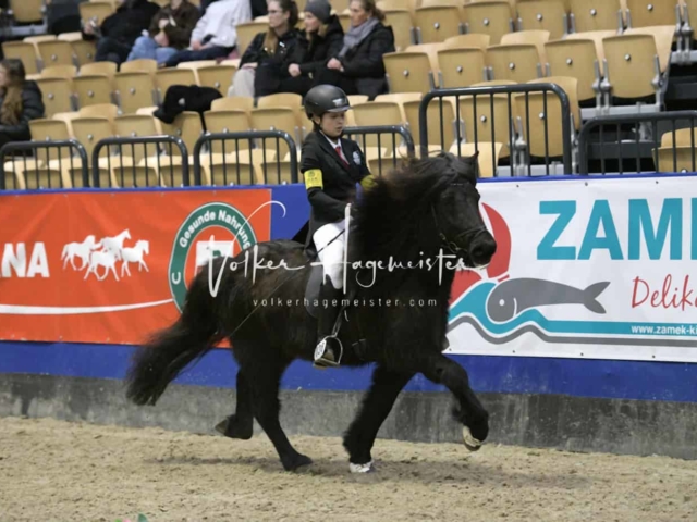 IPZV Samstag Prüfung 1 6