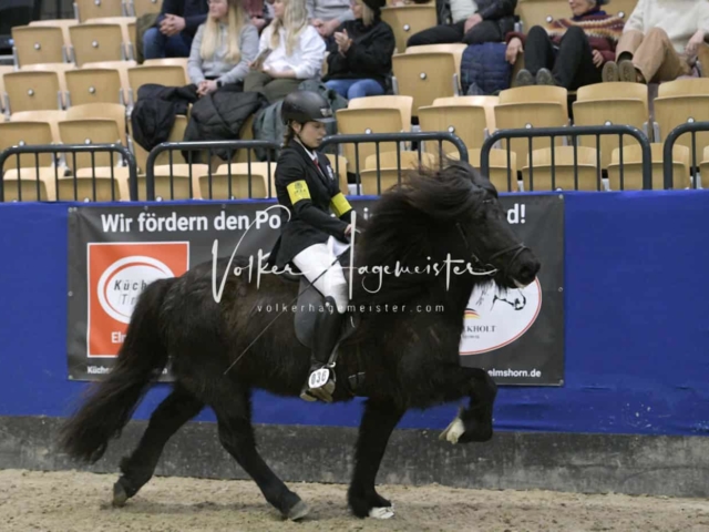 IPZV Samstag Prüfung 1 7