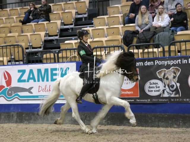 IPZV Samstag Prüfung 1 10