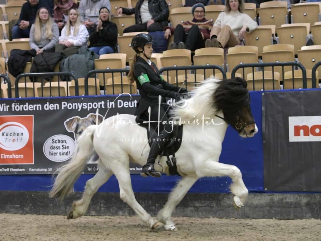 IPZV Samstag Prüfung 1 11