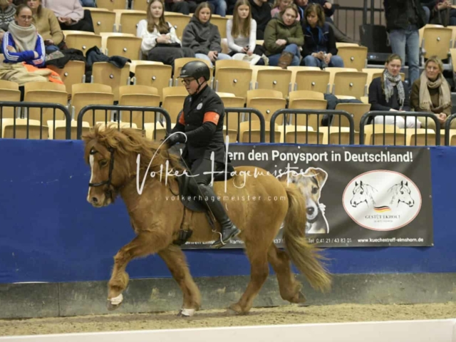 IPZV Samstag Prüfung 1 12