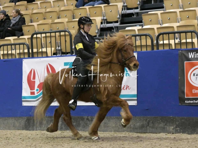 IPZV Samstag Prüfung 1 13