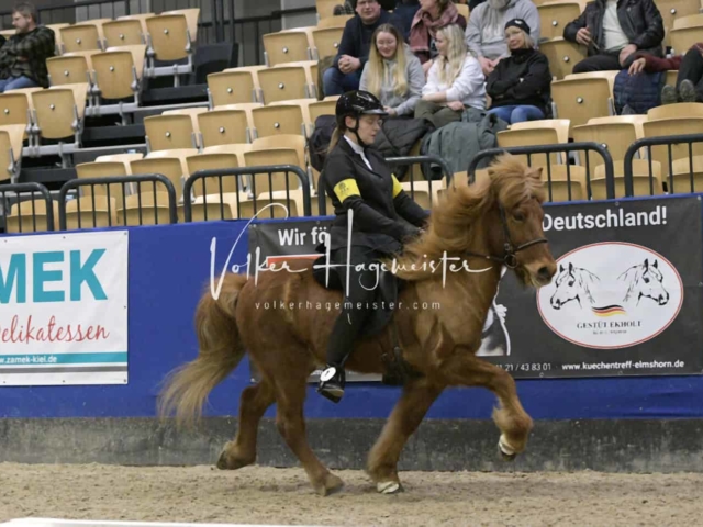 IPZV Samstag Prüfung 1 14