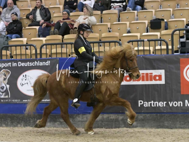 IPZV Samstag Prüfung 1 15