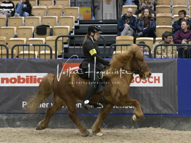 IPZV Samstag Prüfung 1 16