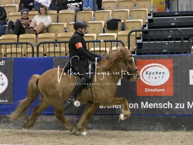 IPZV Samstag Prüfung 1 18