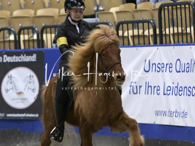 IPZV Samstag Prüfung 1 19