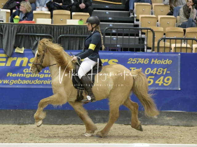 IPZV Samstag Prüfung 2 4