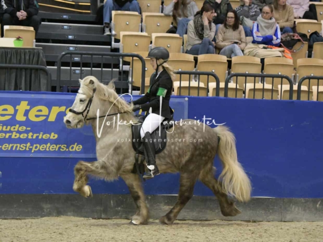 IPZV Samstag Prüfung 2 6