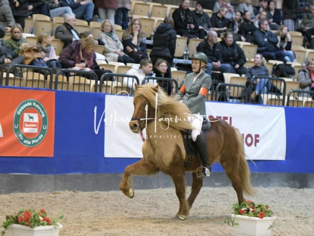 IPZV Samstag Prüfung 2 7