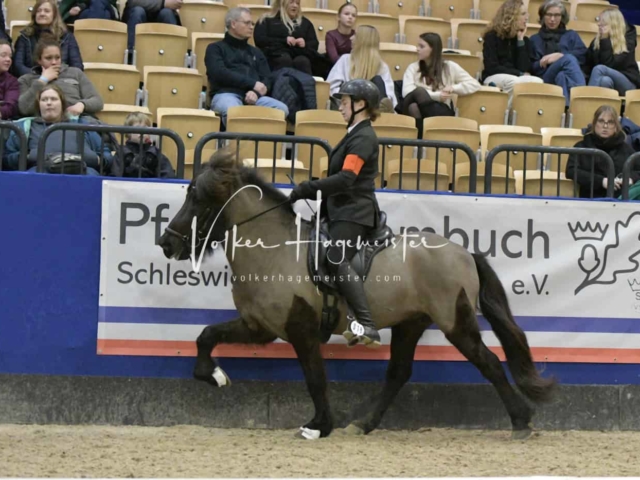 IPZV Samstag Prüfung 2 10